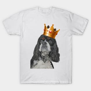 Walter the cavalier king charles spaniel T-Shirt